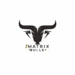 matrixbulls.com